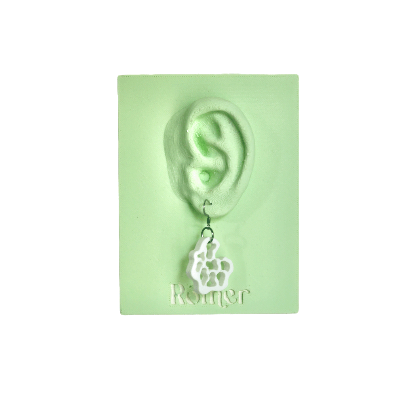 Irregular Shell Earrings