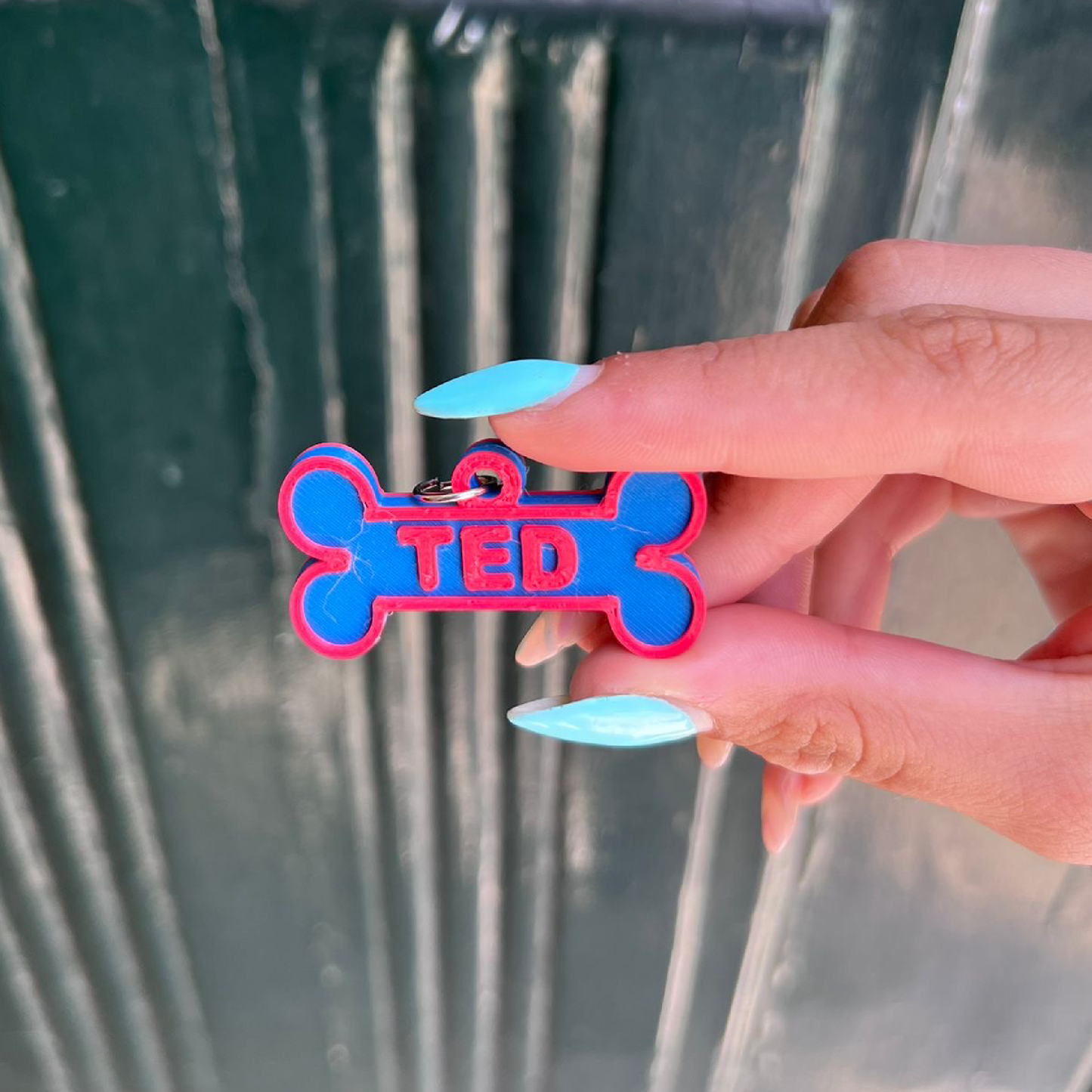 Animal Tag