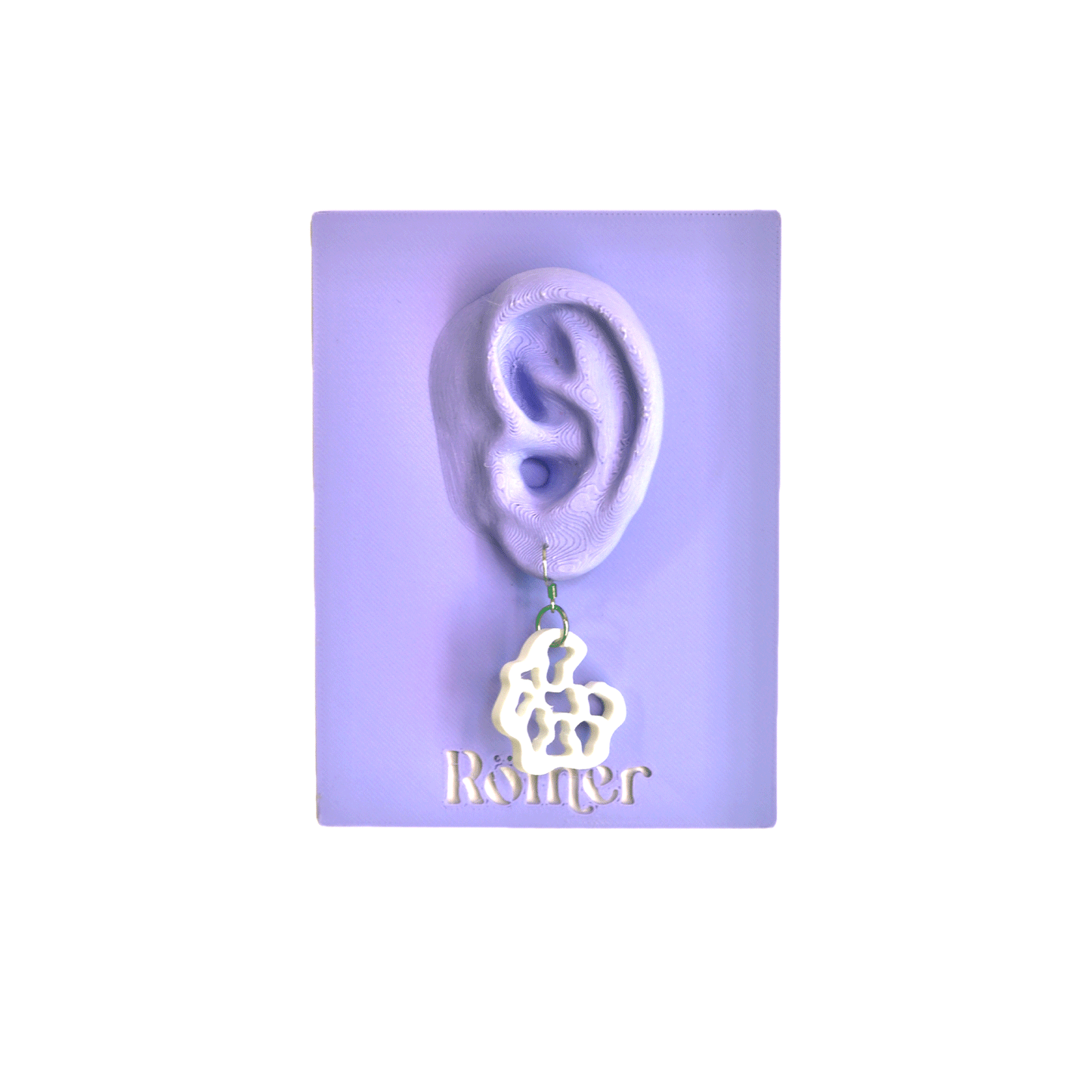 Irregular Shell Earrings
