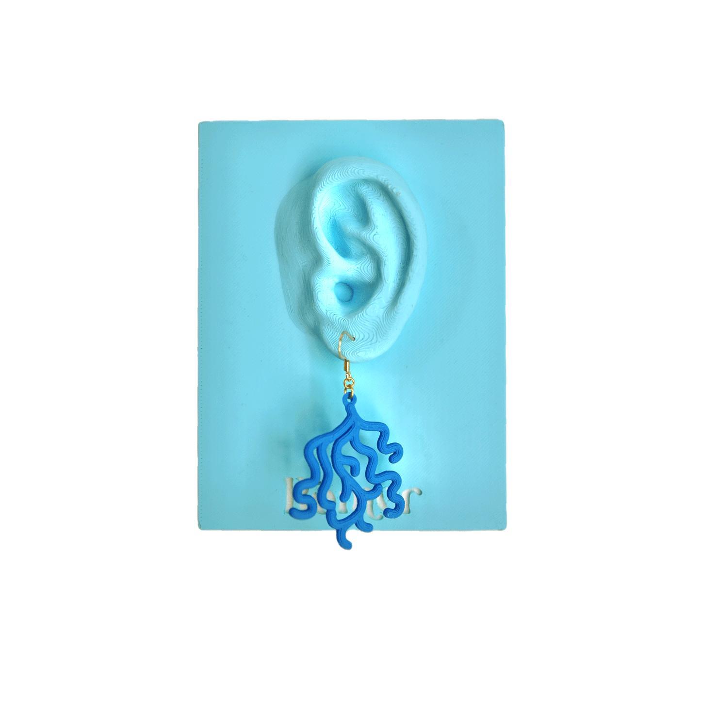 Coral Earrings