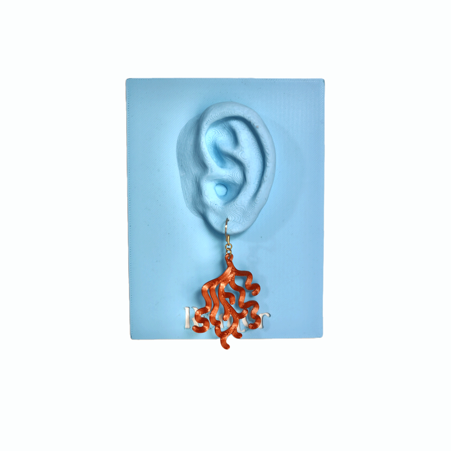 Coral Earrings