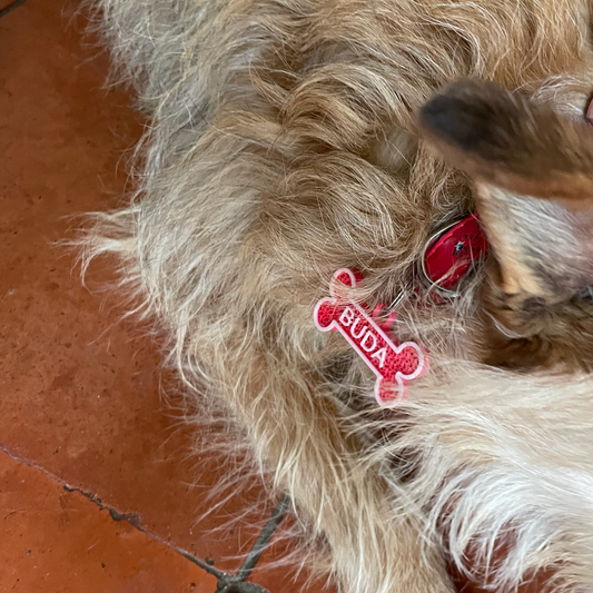 Animal Tag