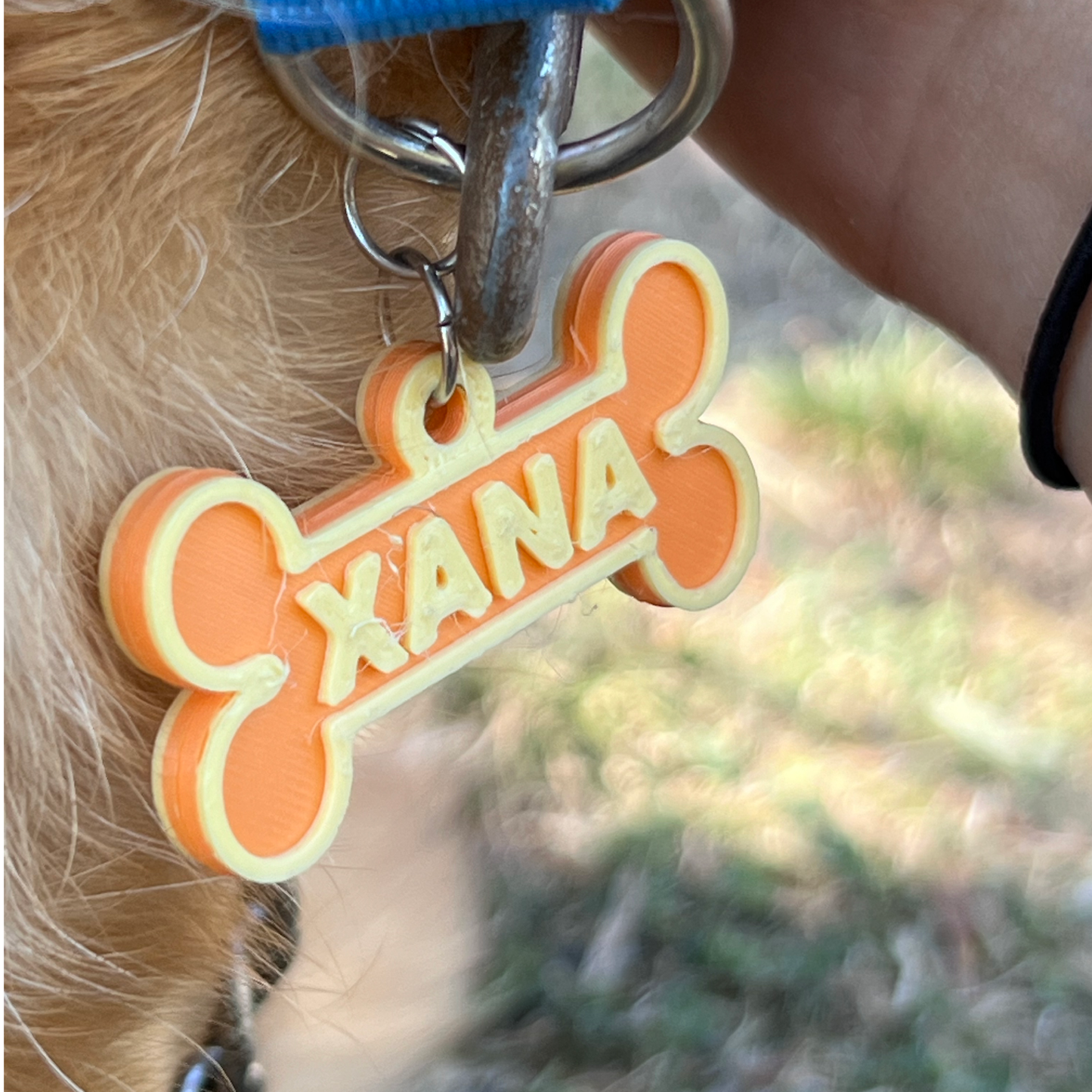 Animal Tag