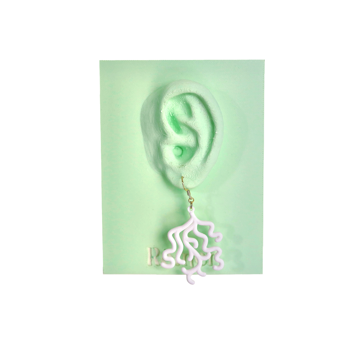 Coral Earrings